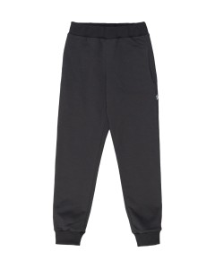 92-122 Sport pants Slim ( a shining element)