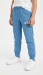92-116 Sport pants
